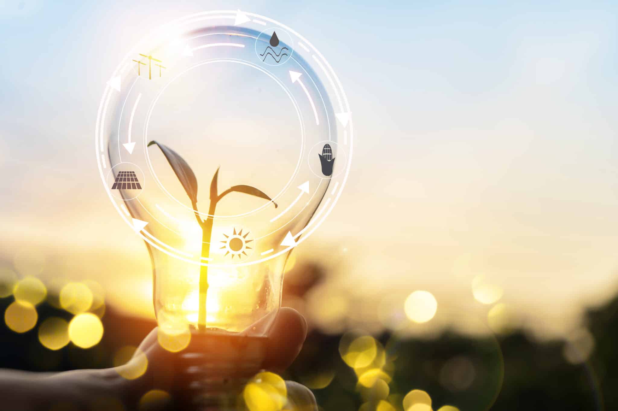 The concept of energy-efficient lighting in ecology. A hand holding a lamp emitting bright light, with a growing tree inside the tube.